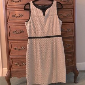 Ann Taylor Dress